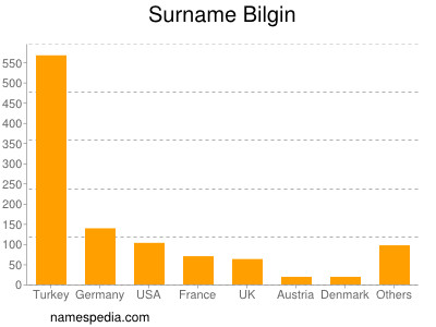 Surname Bilgin