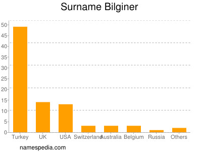 Familiennamen Bilginer