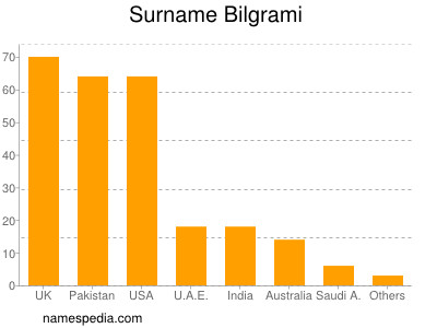 Familiennamen Bilgrami