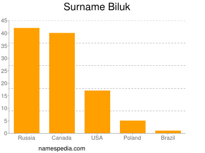 Familiennamen Biluk