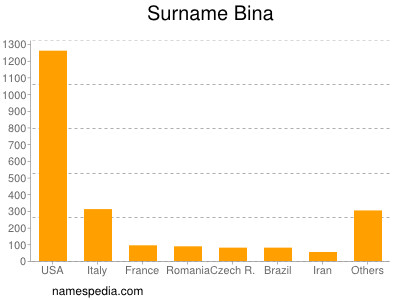Surname Bina