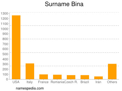 Familiennamen Bina