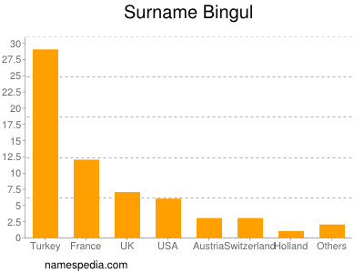 Familiennamen Bingul