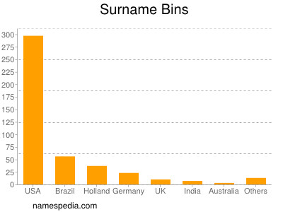 Familiennamen Bins