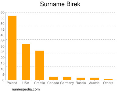 Surname Birek