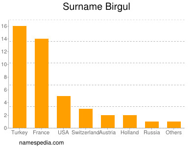 Familiennamen Birgul