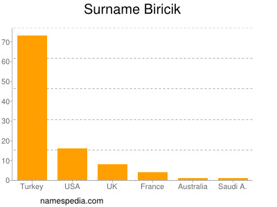 Surname Biricik