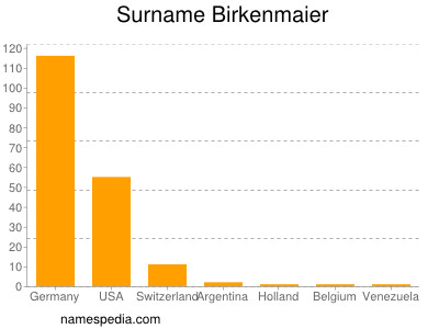 Surname Birkenmaier