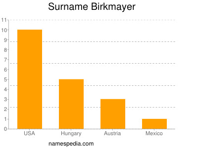 Surname Birkmayer