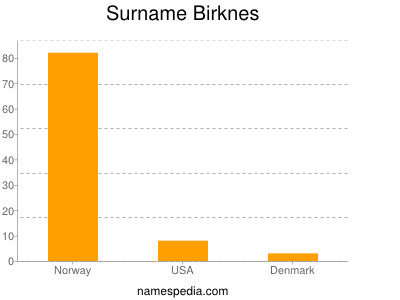 Surname Birknes