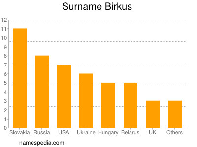 Familiennamen Birkus