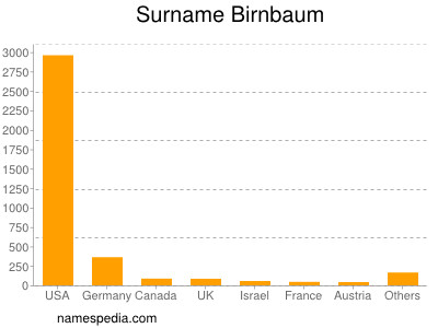 Familiennamen Birnbaum