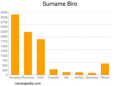 Familiennamen Biro