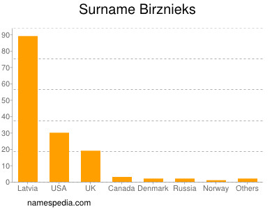 Surname Birznieks