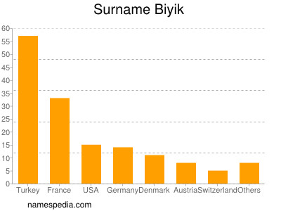 Familiennamen Biyik