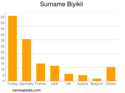 Familiennamen Biyikli