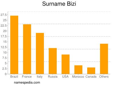 Surname Bizi