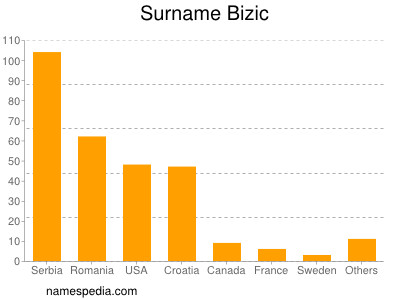 Surname Bizic