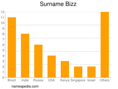 Surname Bizz