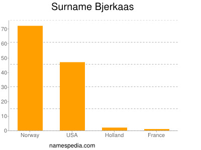 Familiennamen Bjerkaas