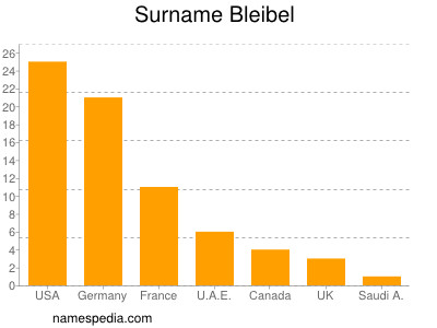 Surname Bleibel
