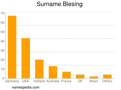 Surname Blesing