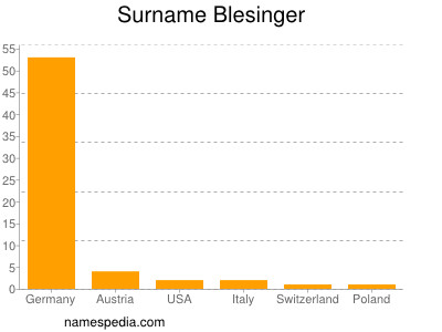 Surname Blesinger