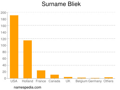 Familiennamen Bliek