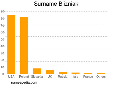 Familiennamen Blizniak