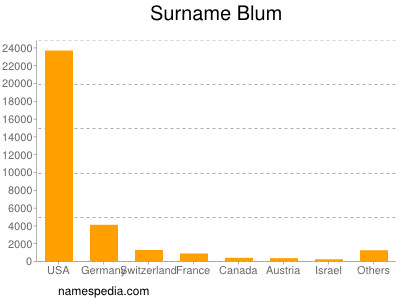 Surname Blum