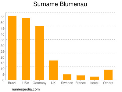 Familiennamen Blumenau