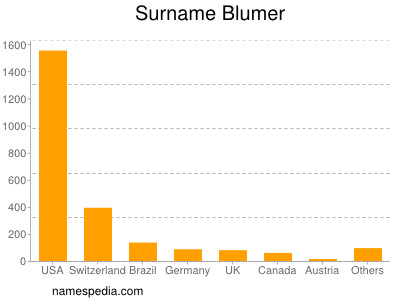 Surname Blumer