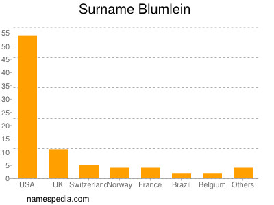 Surname Blumlein