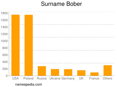 Surname Bober