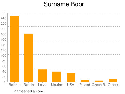 Familiennamen Bobr