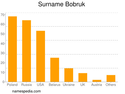 Surname Bobruk