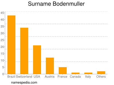 Familiennamen Bodenmuller