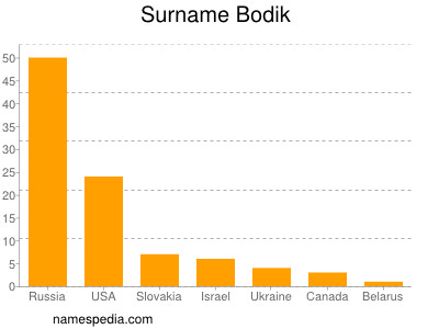 Surname Bodik