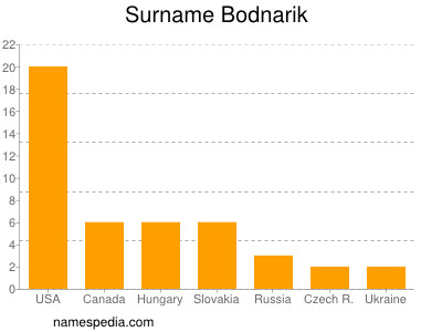 Surname Bodnarik