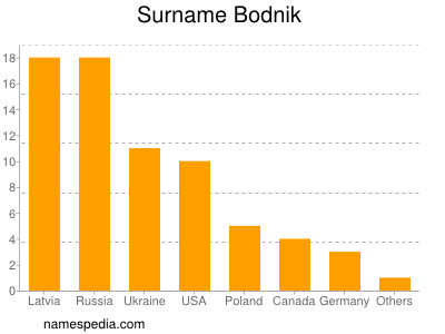 Familiennamen Bodnik