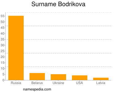 Familiennamen Bodrikova