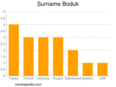 Surname Boduk
