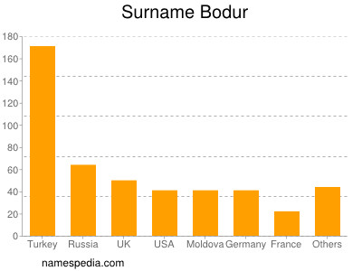 Familiennamen Bodur