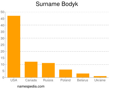 Surname Bodyk