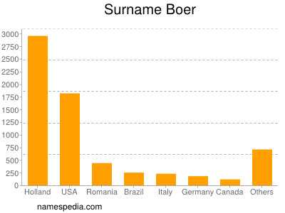 Familiennamen Boer