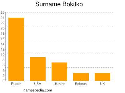 Surname Bokitko