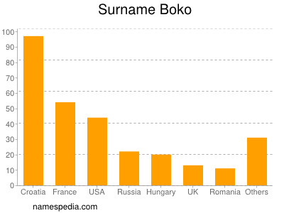 Familiennamen Boko