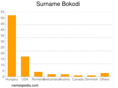Familiennamen Bokodi