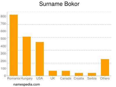 Surname Bokor