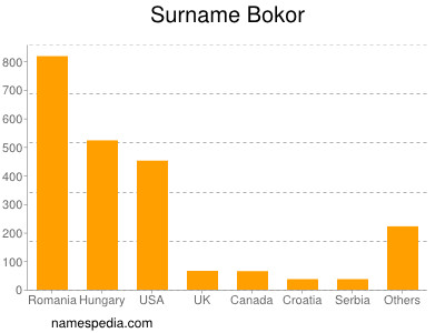 Familiennamen Bokor